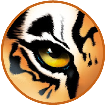 TigerTMS